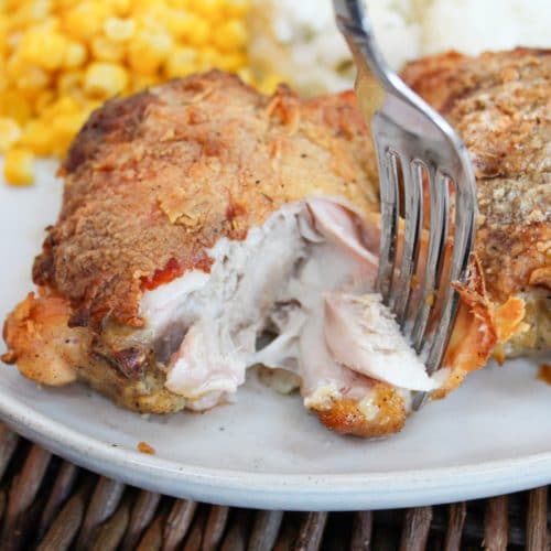 chicken pulled apart with fork
