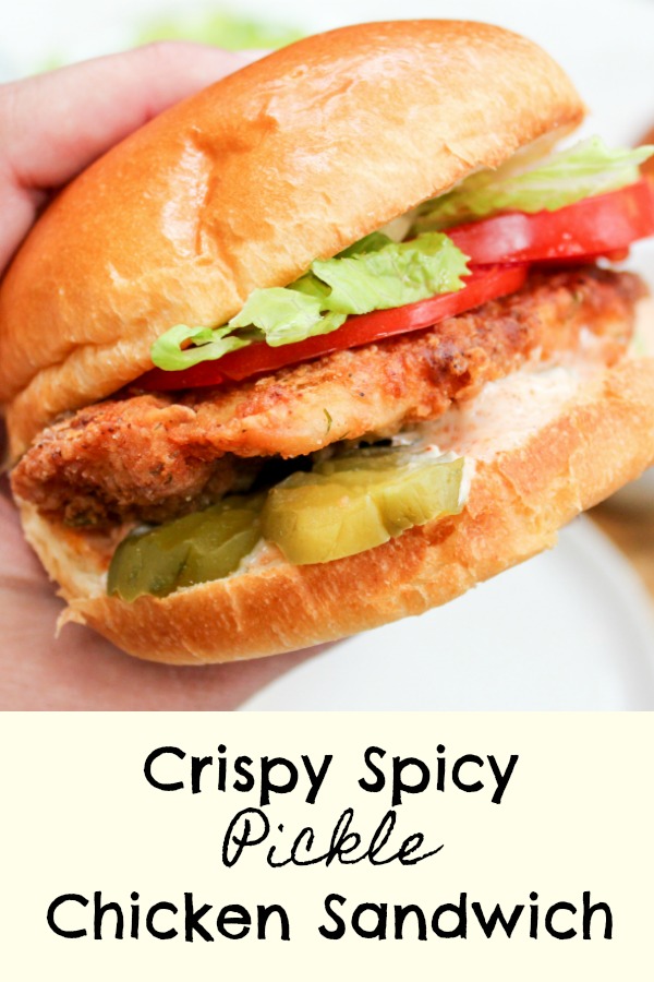 chicken sandwich in hand